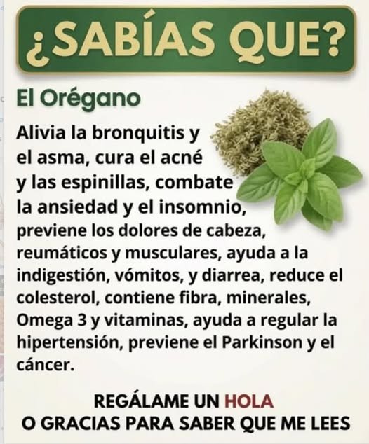 Beneficios del Orégano