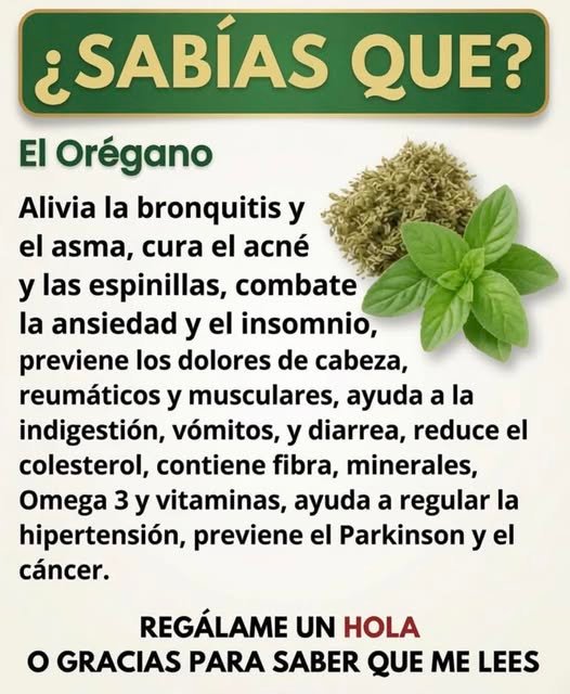 Orégano Orejón