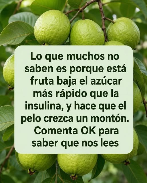 guayabas en árbol