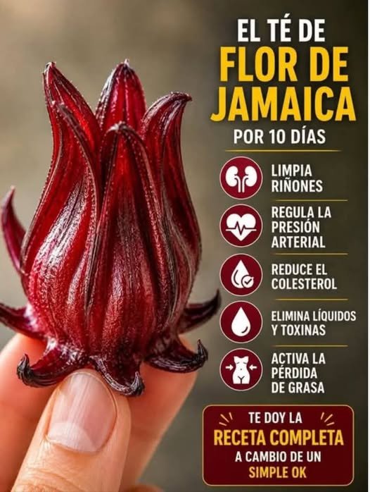 Té de flor de Jamaica