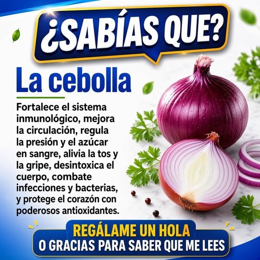 Beneficios de la Cebolla Morada