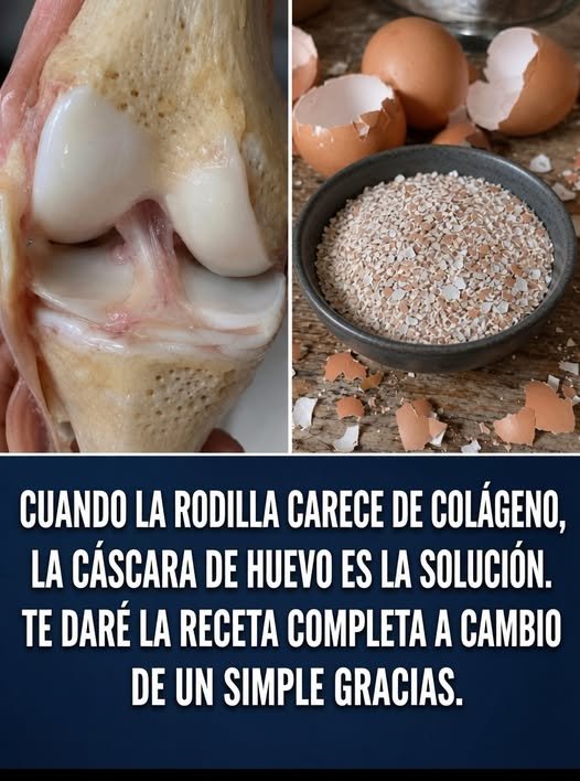 Cáscaras de huevo