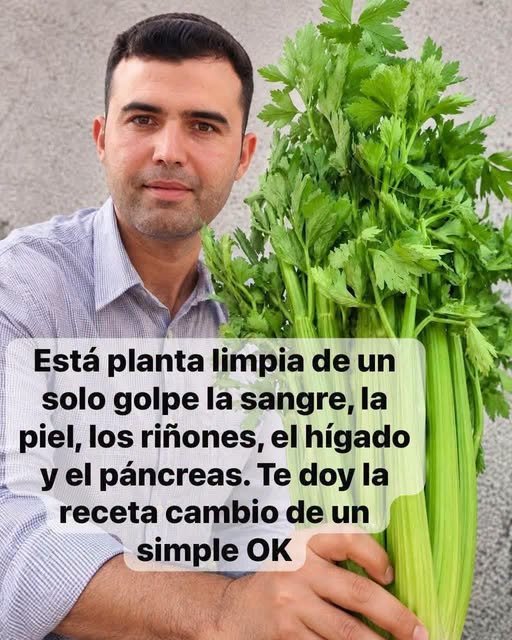 Apio y Beneficios