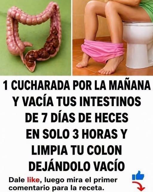 Frutas saludables para el colón