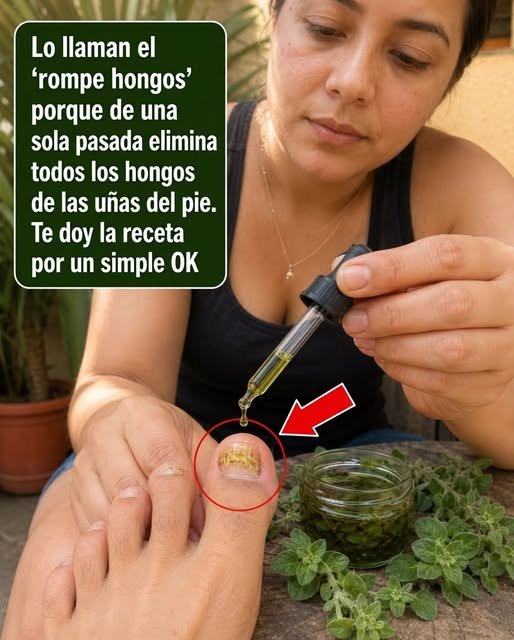 Aplicación de rompe hongos