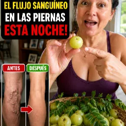 Frutas frescas