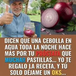 Cebolla en agua
