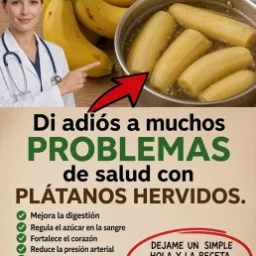 Plátano hervido