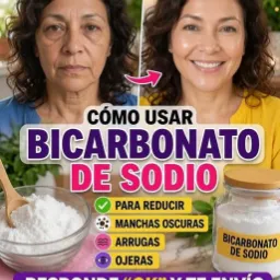 Bicarbonato de sodio