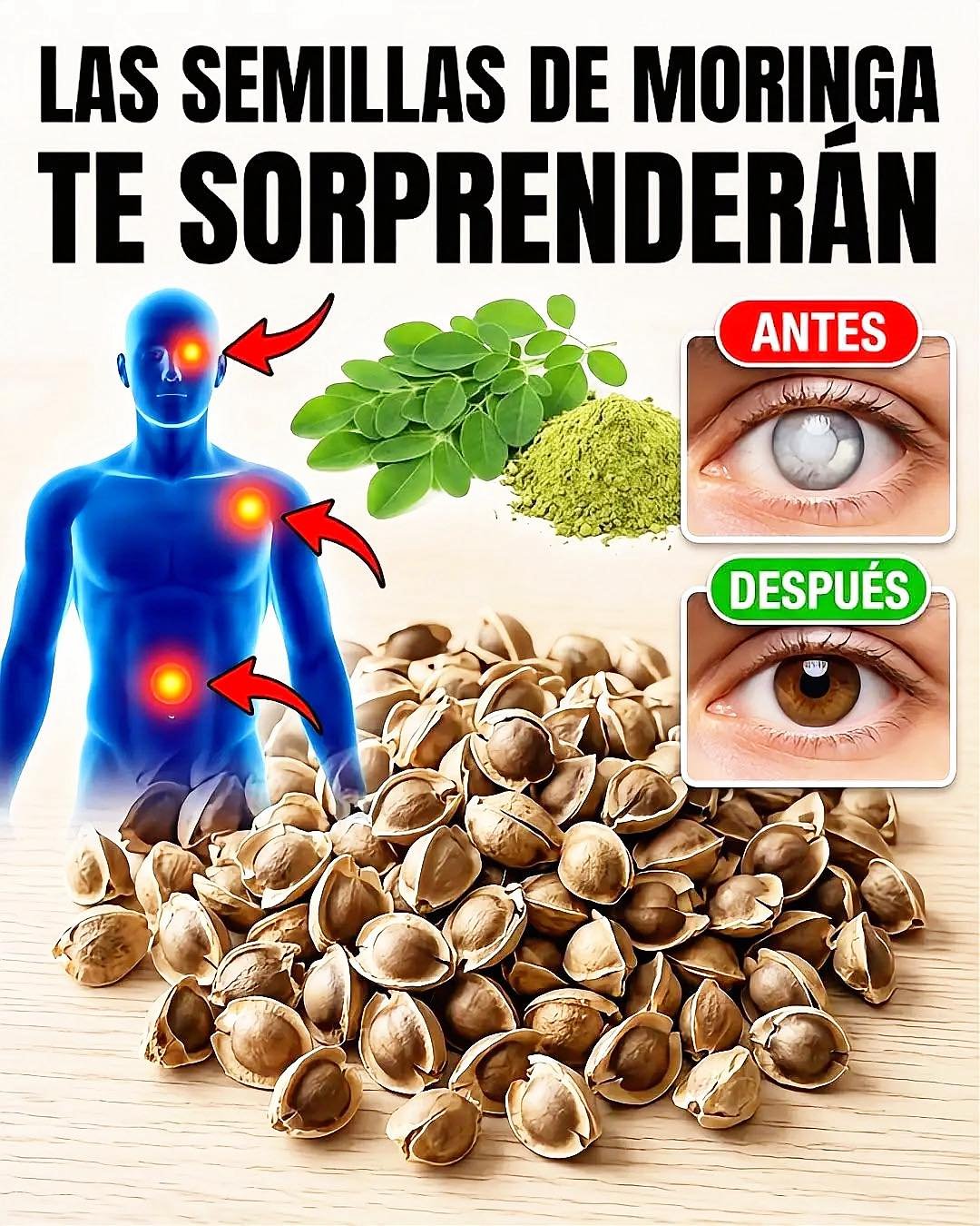 Beneficios de la Moringa para la Salud Visual