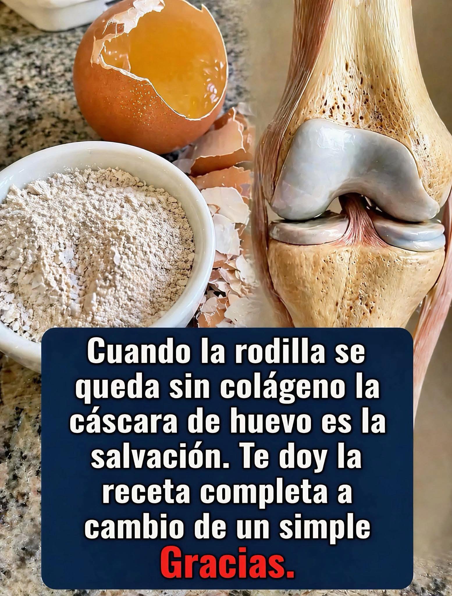 Cáscaras de huevo como remedio natural para la salud