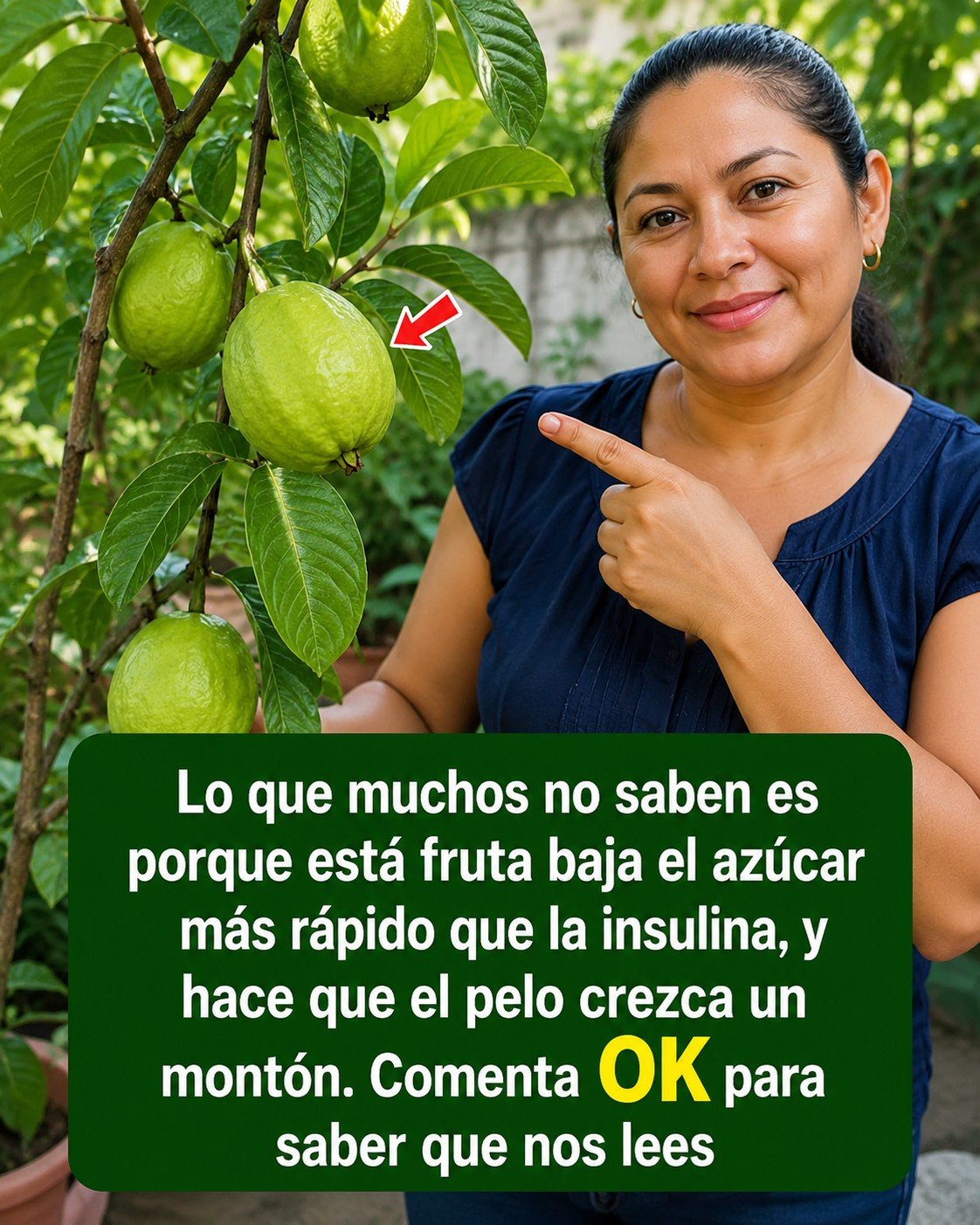Guayabas