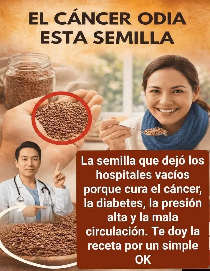 Semillas de chía y otros tipos de semillas