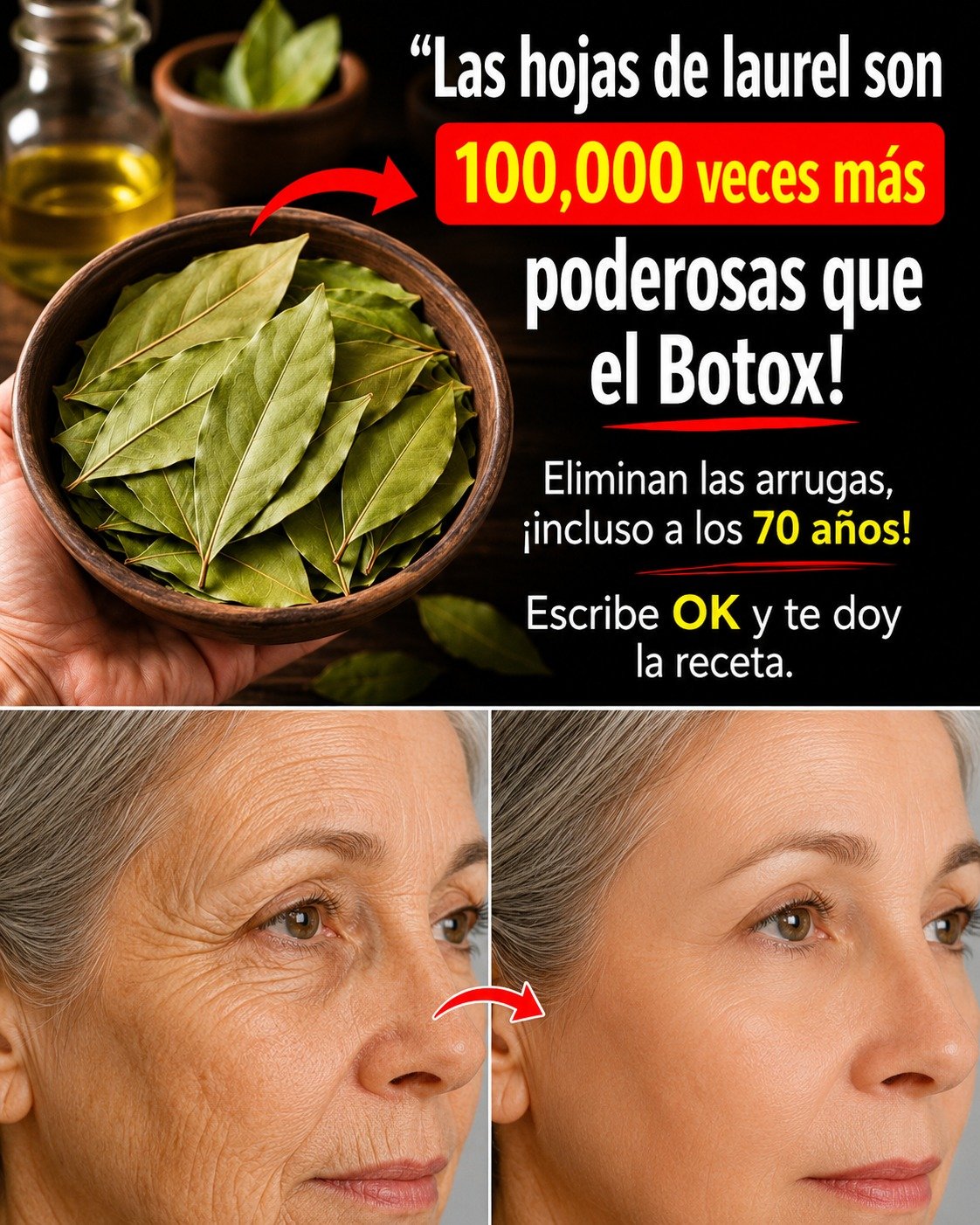Hojas de laurel