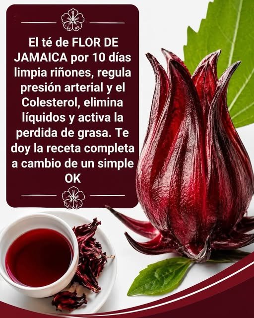 Té de Jamaica Canela y Laurel