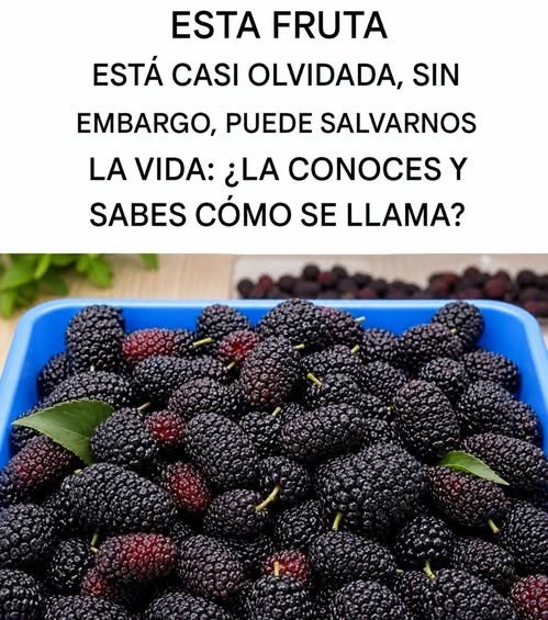 Bandeja de moras frescas