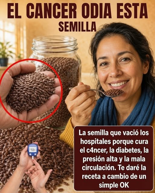 Semillas nutritivas