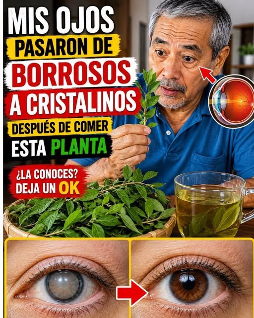 Remedios Naturales para la Vista