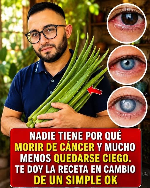 Imagen de hojas de aloe vera