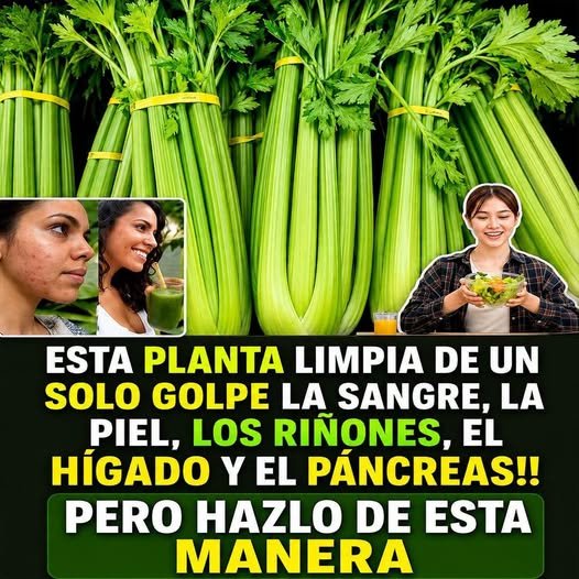 Beneficios del Apio para la Salud