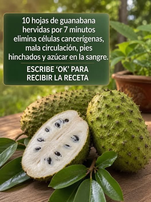 Hojas de guanábana y fruta