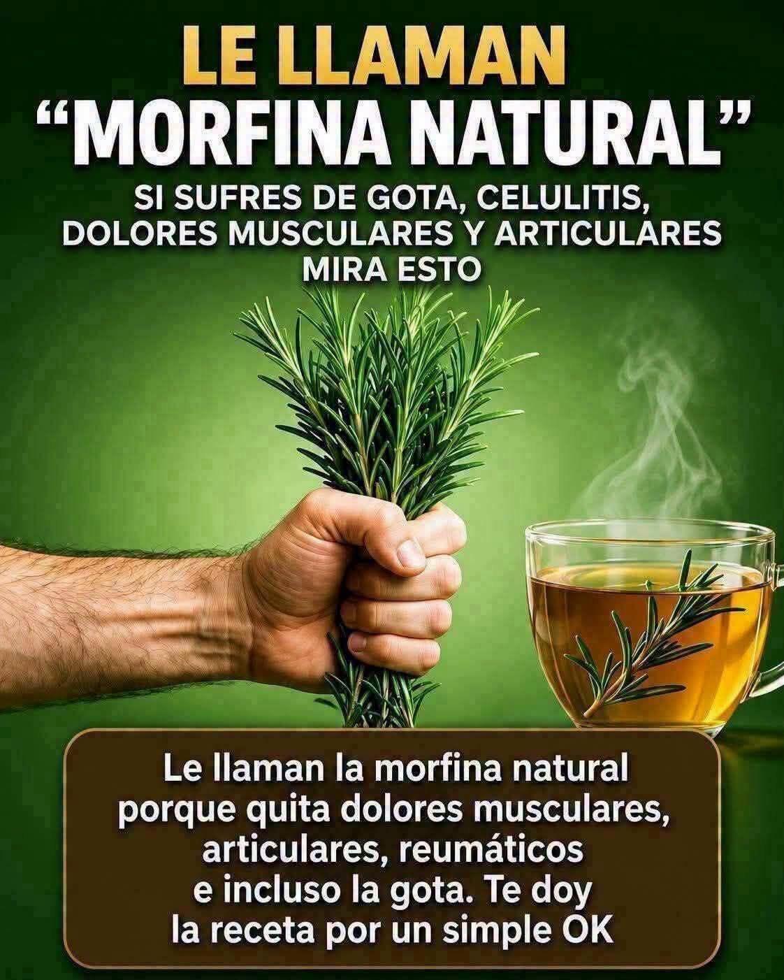 Infusión de romero