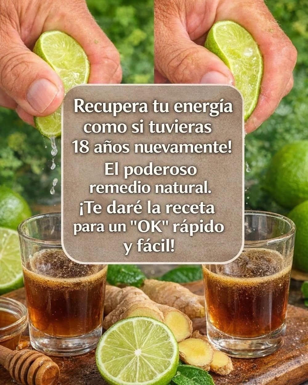 Ingredientes de la bebida energética