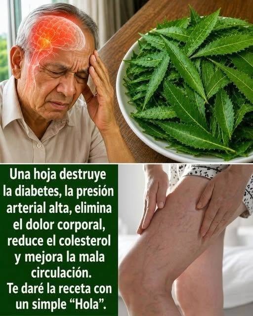Hoja de neem y beneficios