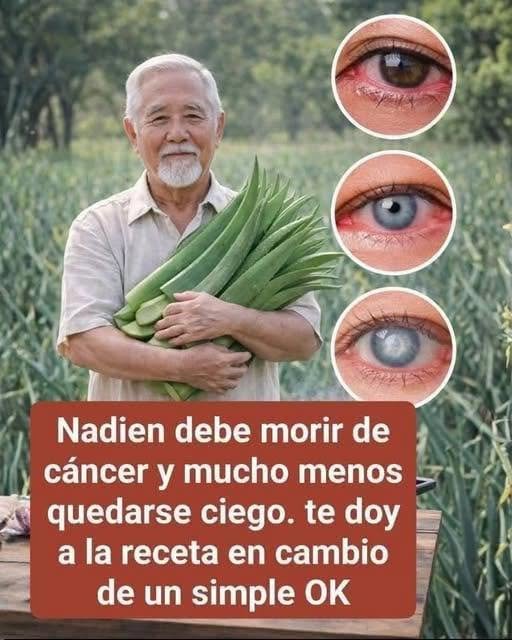 Hombre mayor sosteniendo cebollas verdes en un campo