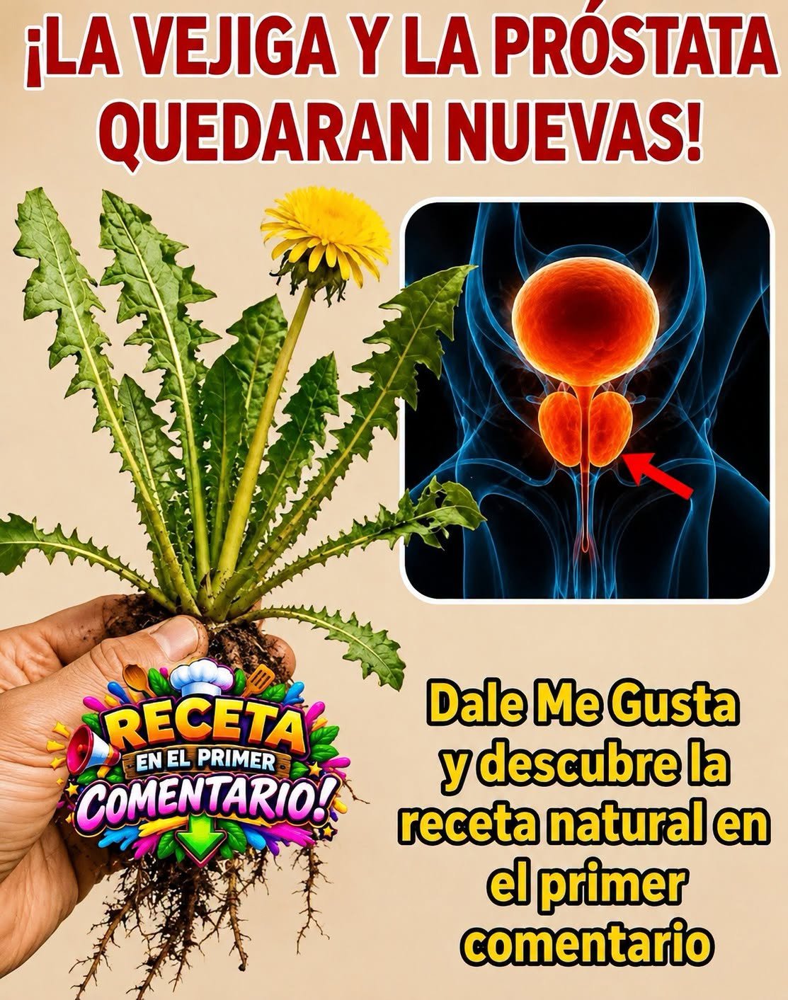 Diente de león