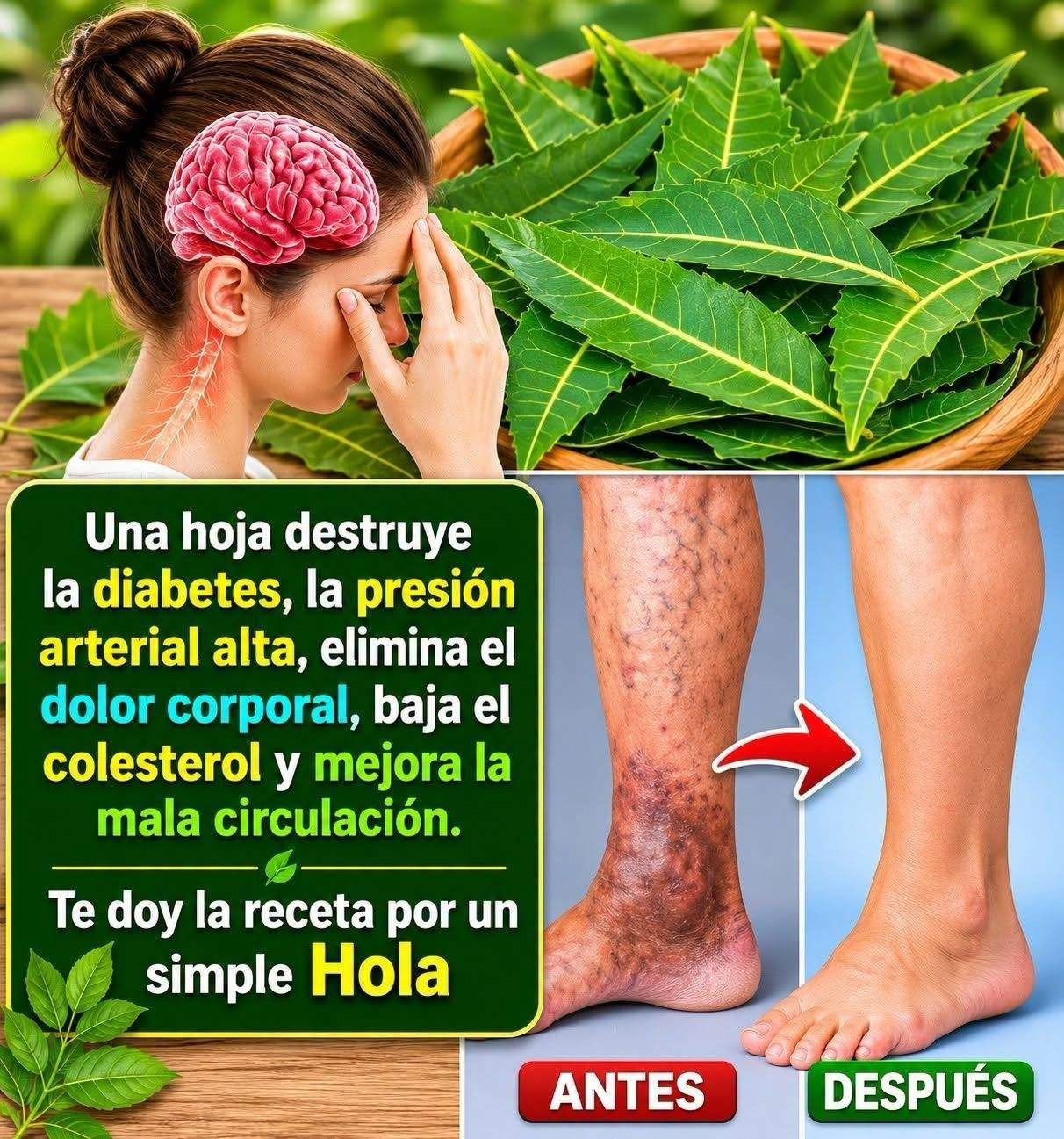 Hojas de Neem