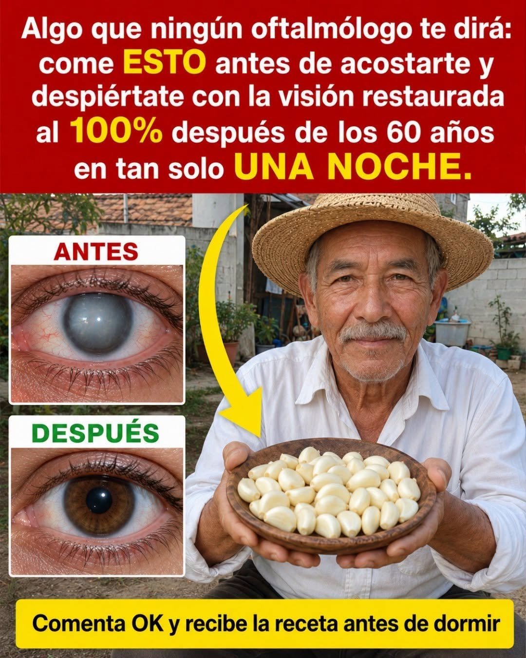 Recetas para Mejorar la Visión