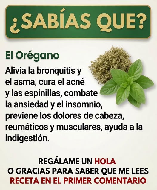 Orégano fresco y seco