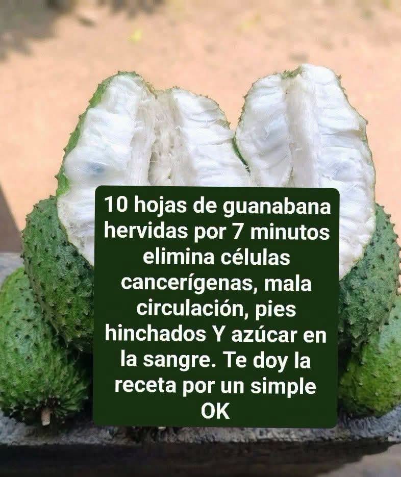 Guanábana abierta