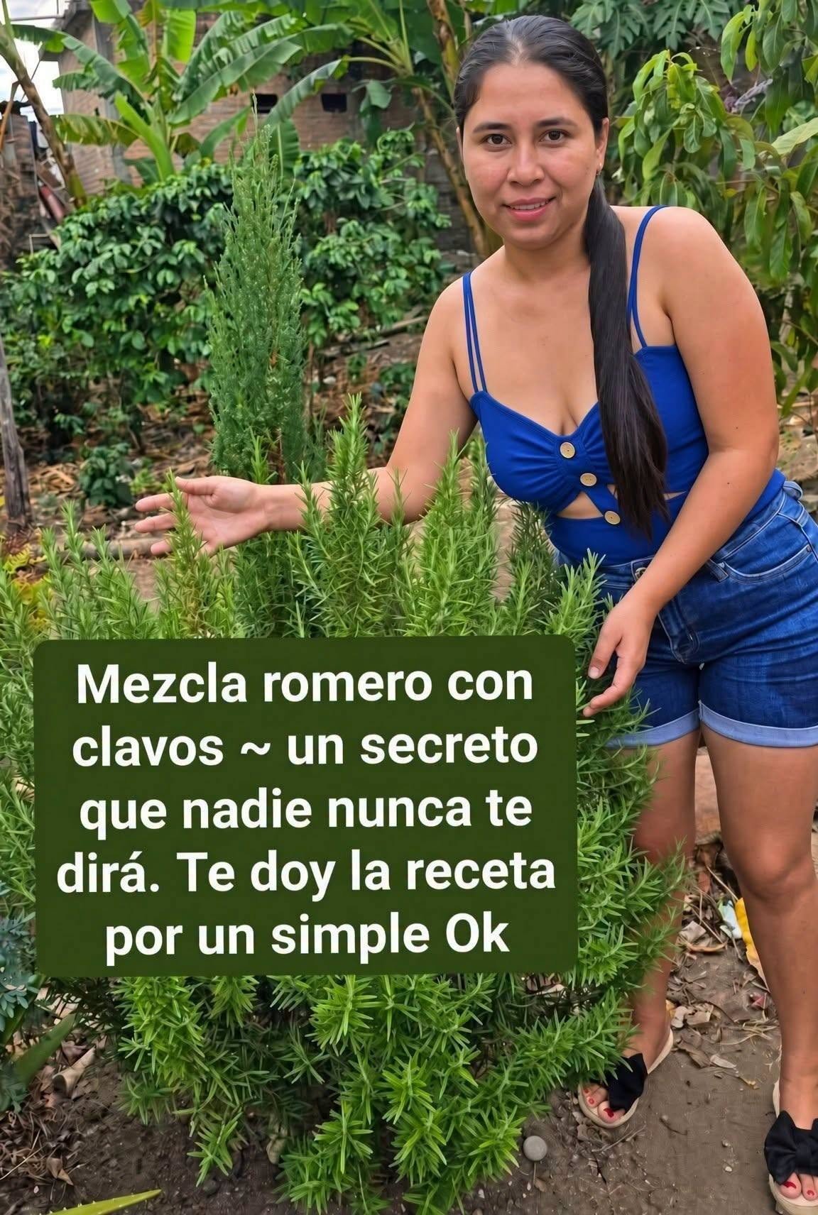 Té de romero