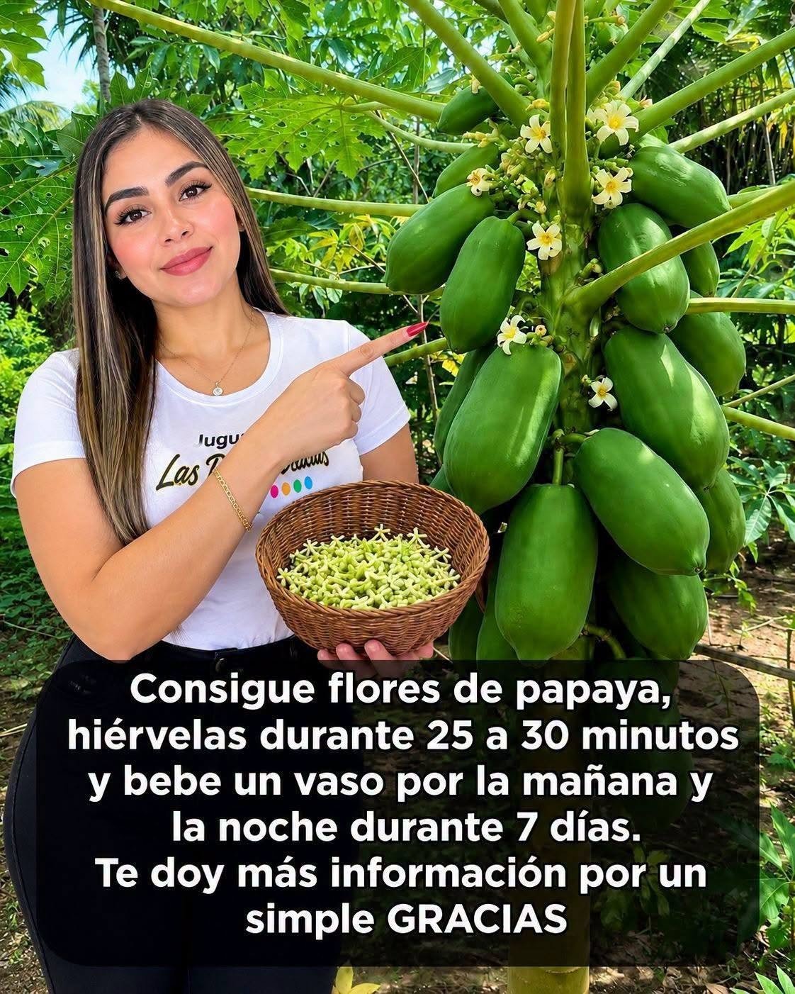 Flor de Papaya