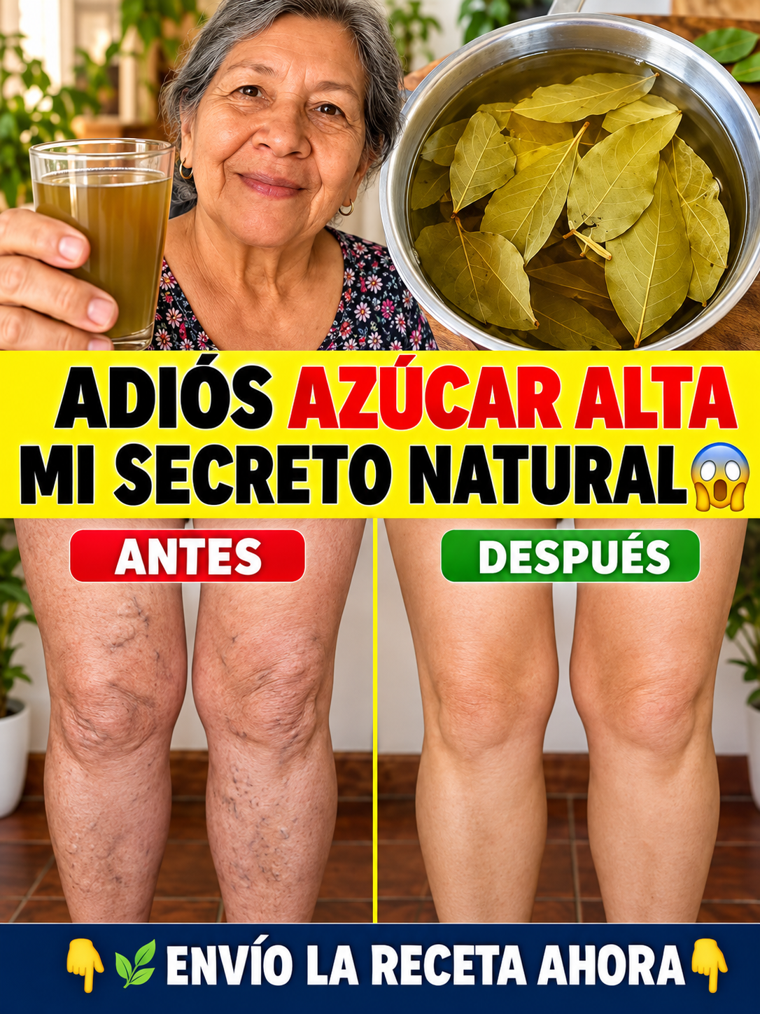Infusión de Laurel