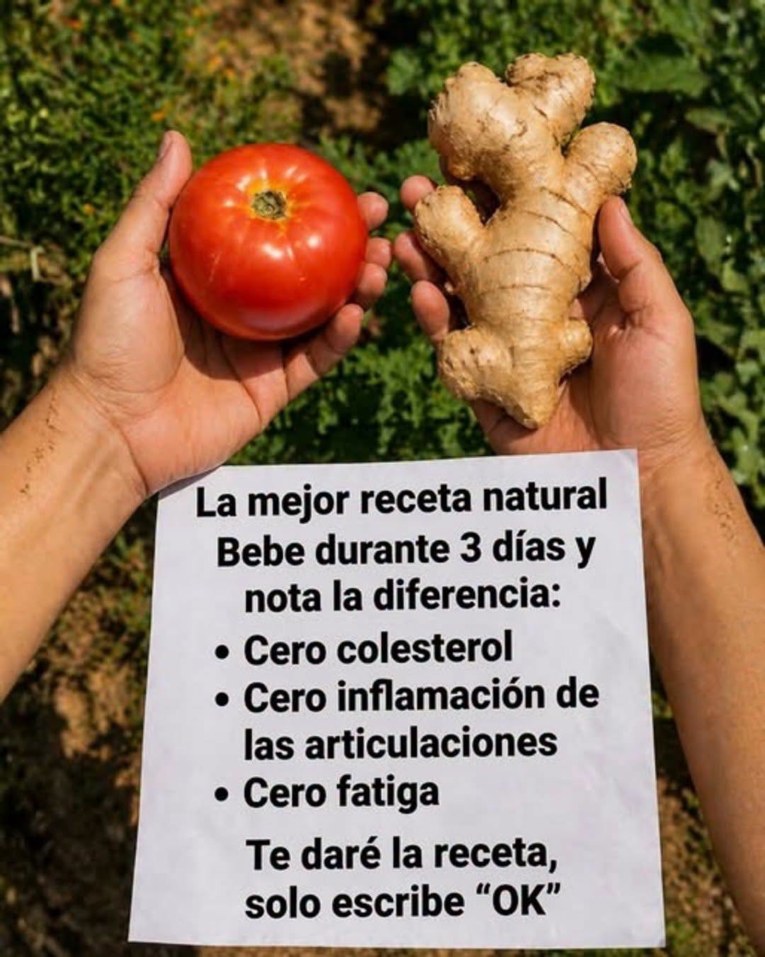 Bebida natural de remolacha, jengibre y limón