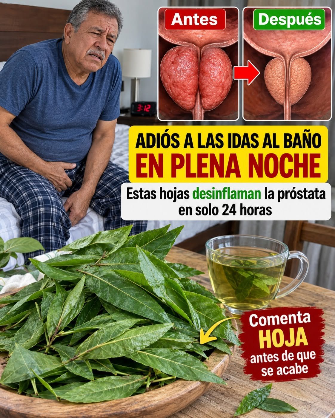 Hojas para aliviar la próstata