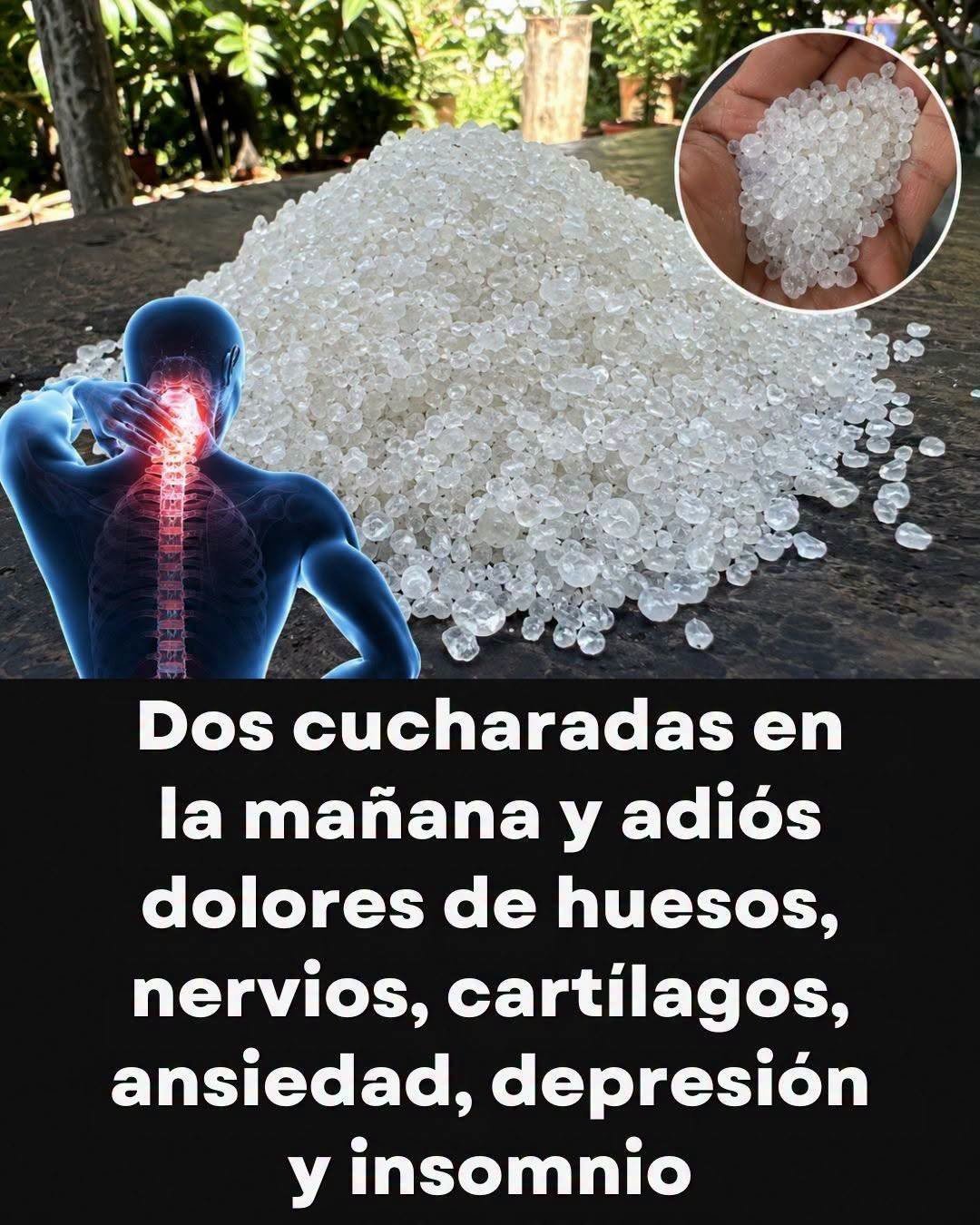Semillas de chía y avena