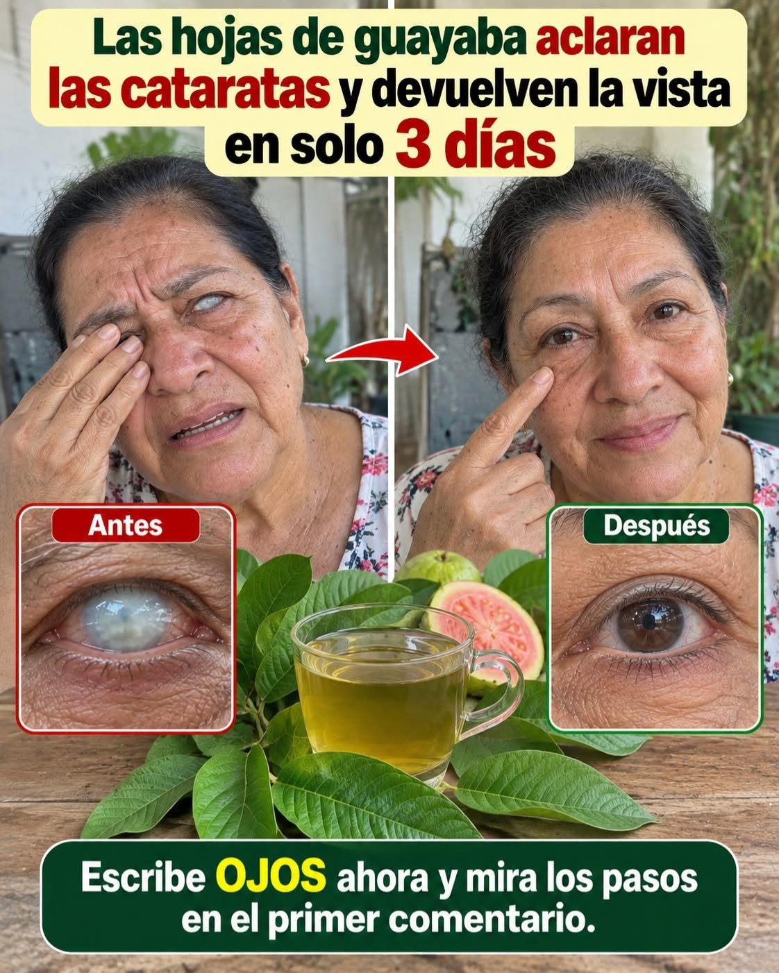 Remedio natural con hojas de guayaba