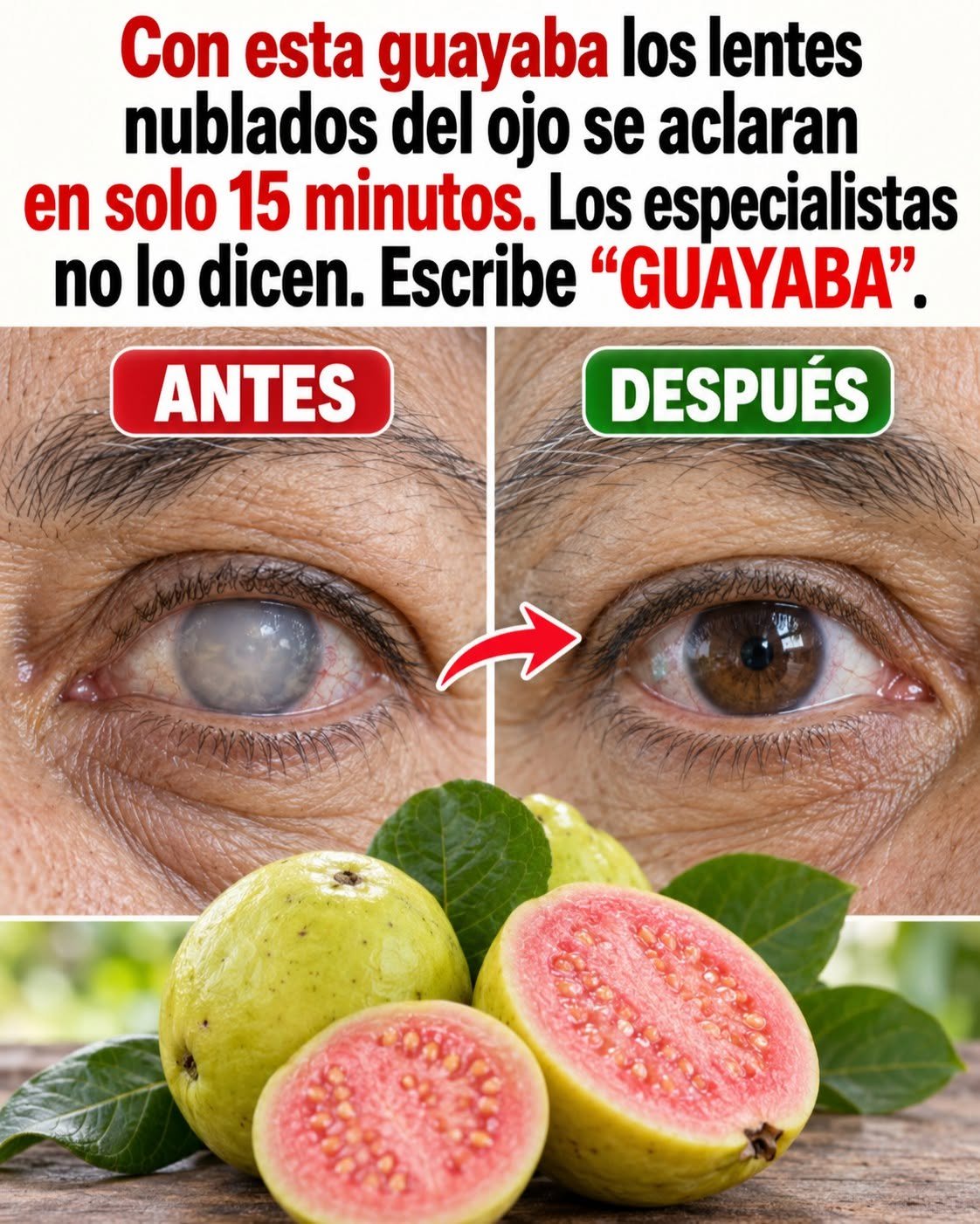 Guayabas frescas