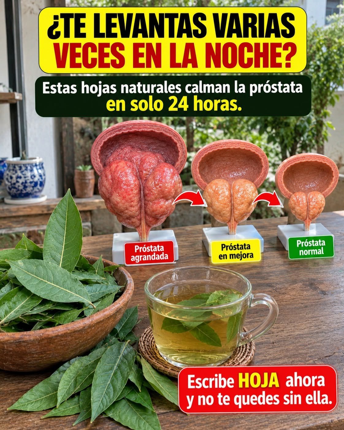 Hojas naturales para la salud prostática