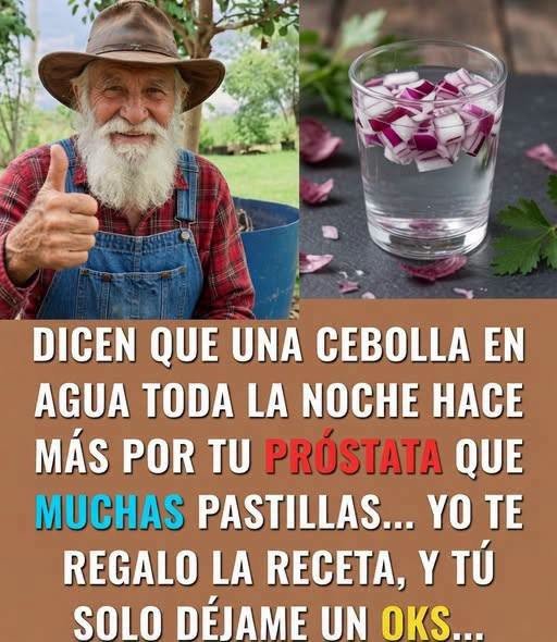 Cebolla en agua