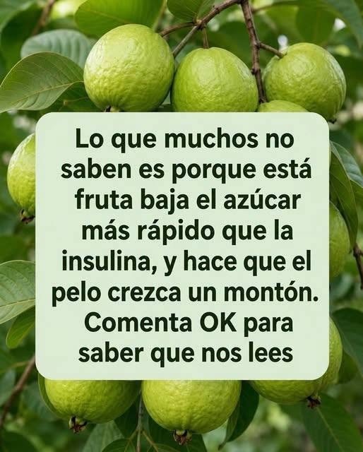 Guayabas frescas
