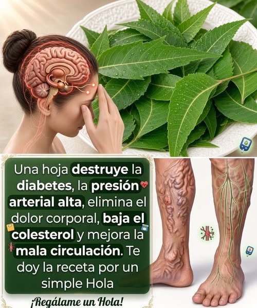 Beneficios del neem