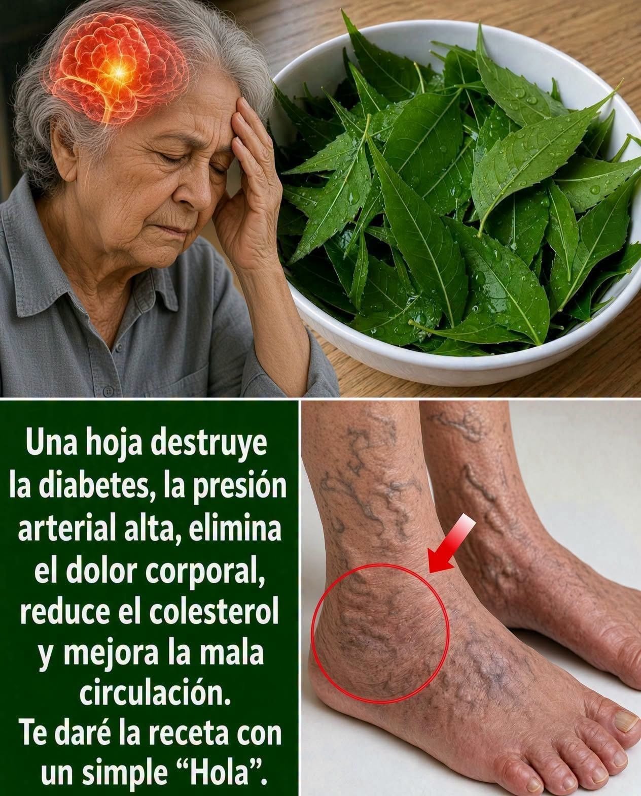 Beneficios de la hoja de neem