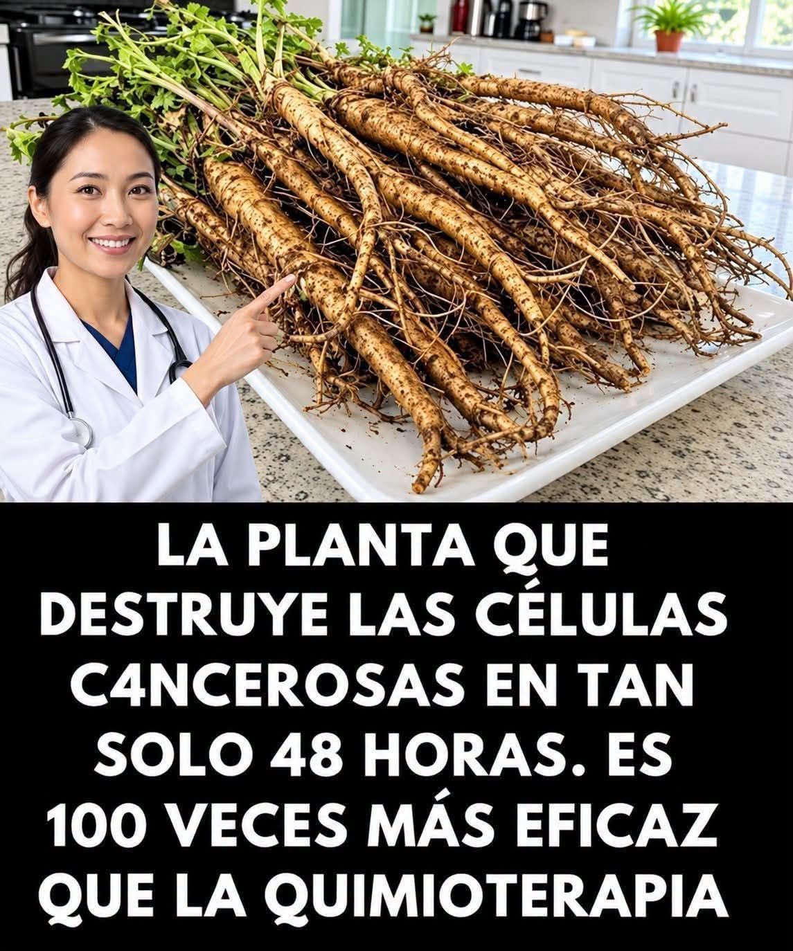 Raíz de Diente de León