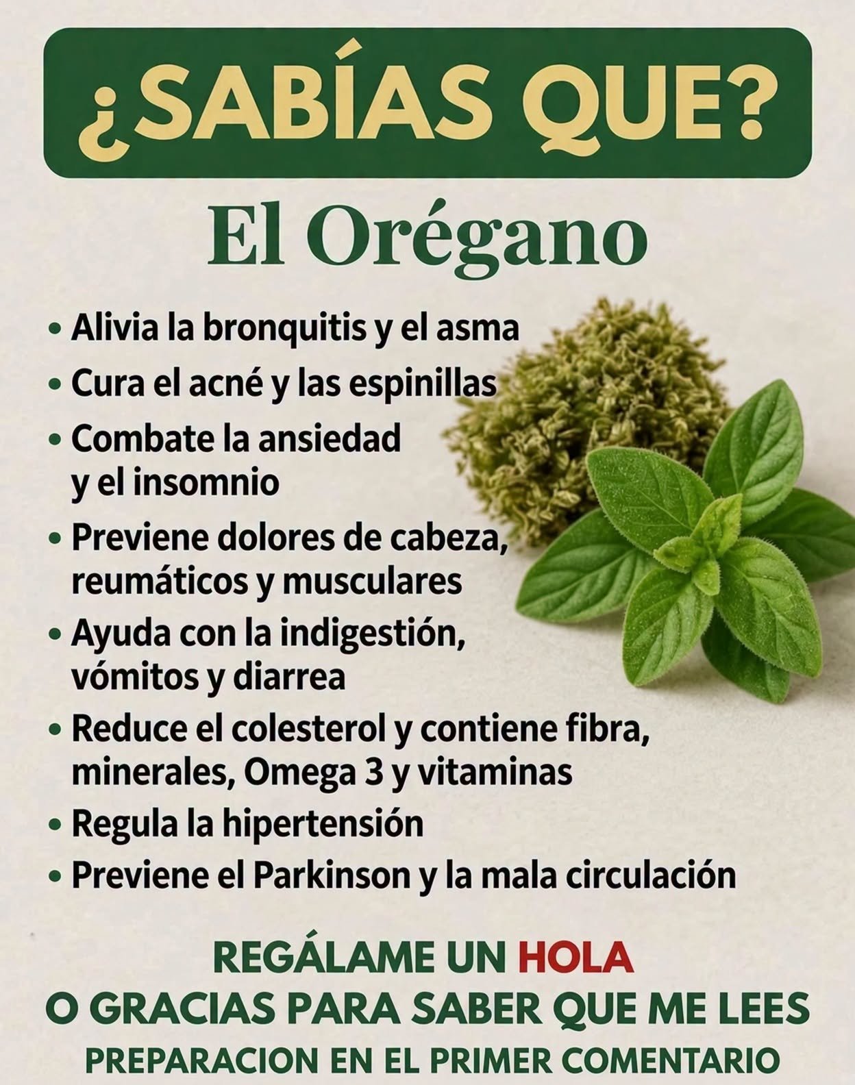 Hojas de orégano