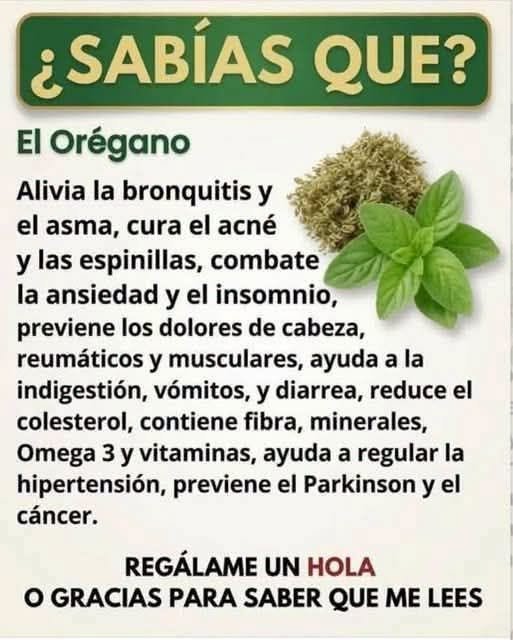 Hojas de orégano frescas y secas